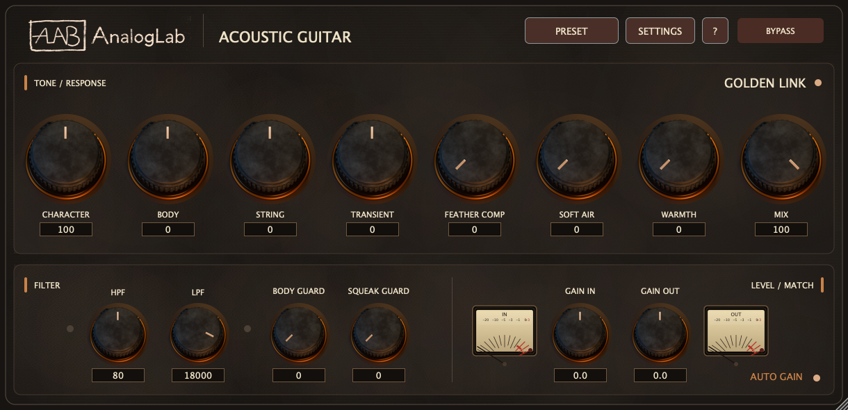 Acoustic Guitar interface
